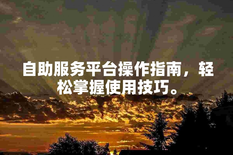 自助服务平台操作指南，轻松掌握使用技巧。