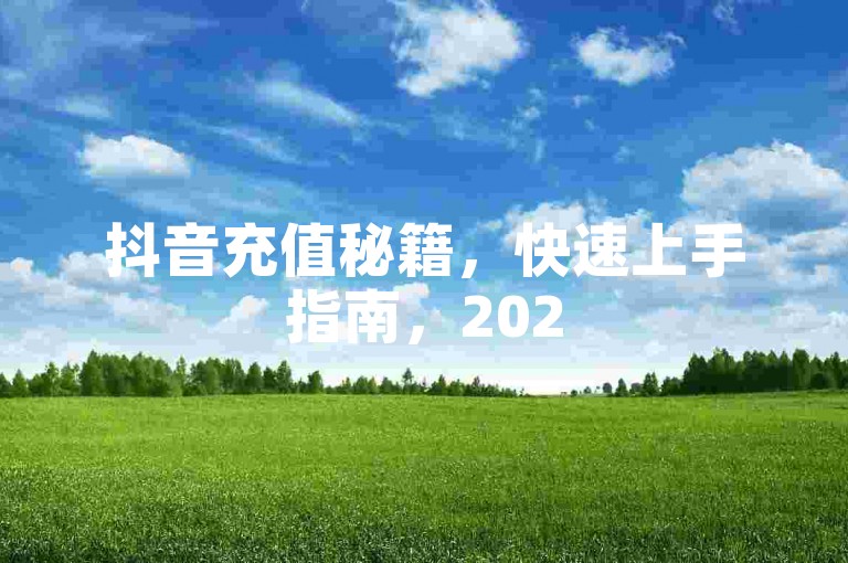 抖音充值秘籍，快速上手指南，2025必备！