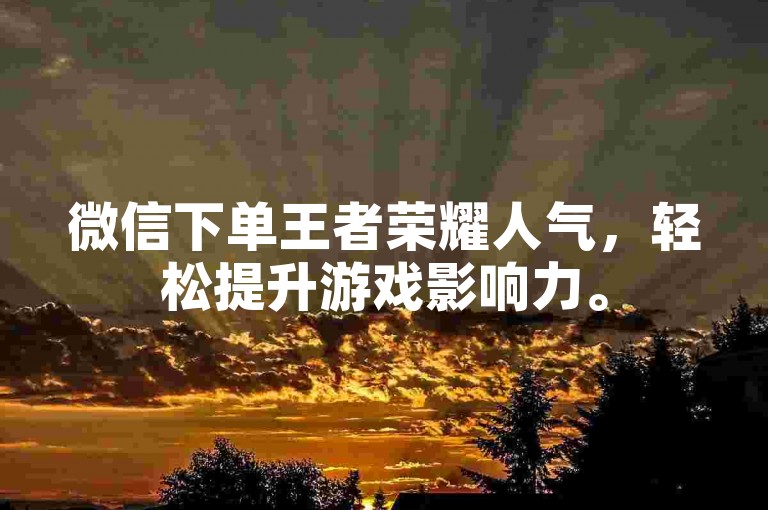 微信下单王者荣耀人气，轻松提升游戏影响力。