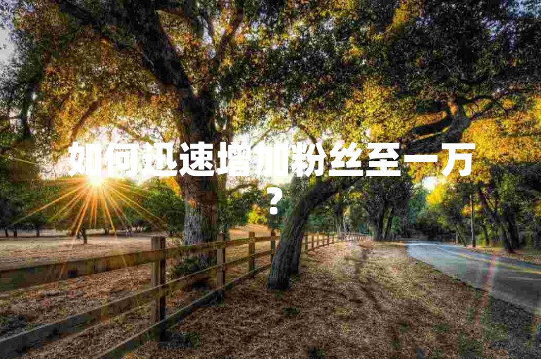 如何迅速增加粉丝至一万？