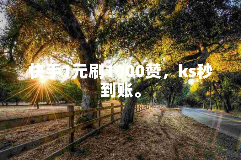 快手1元刷1000赞，ks秒到账。