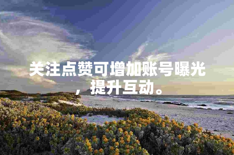 关注点赞可增加账号曝光，提升互动。