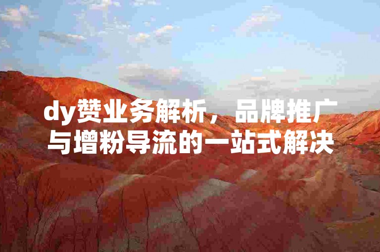 dy赞业务解析，品牌推广与增粉导流的一站式解决方案。