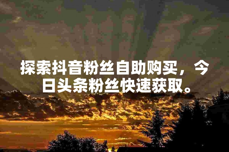 探索抖音粉丝自助购买，今日头条粉丝快速获取。