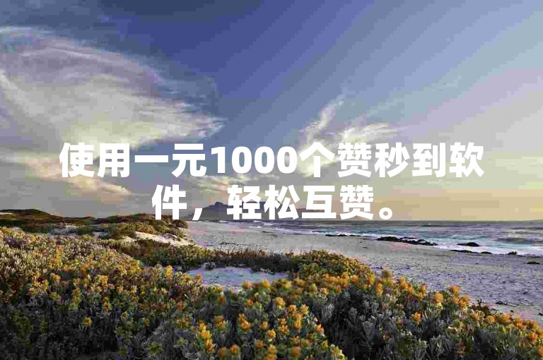 使用一元1000个赞秒到软件，轻松互赞。