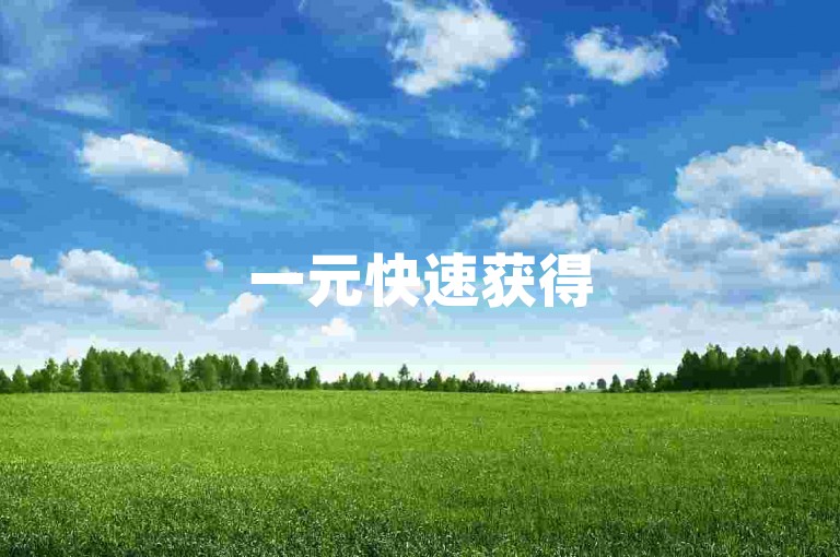 一元快速获得500赞，快手秒到账。