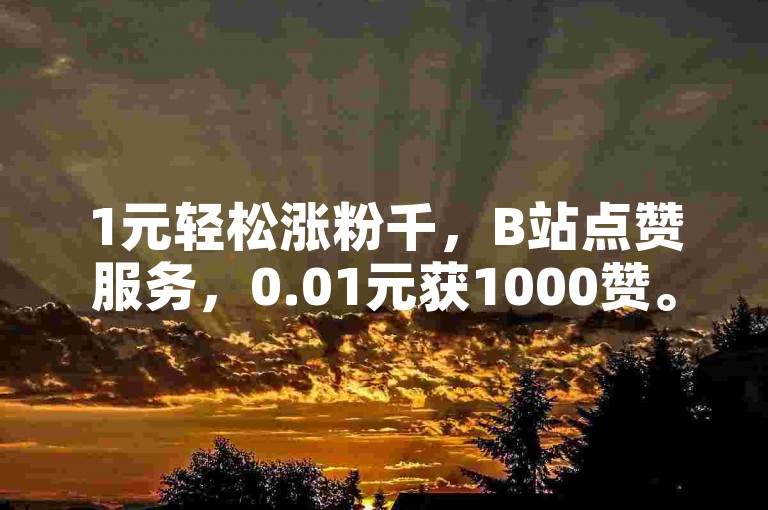 1元轻松涨粉千，B站点赞服务，0.01元获1000赞。