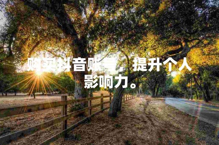 购买抖音账号，提升个人影响力。