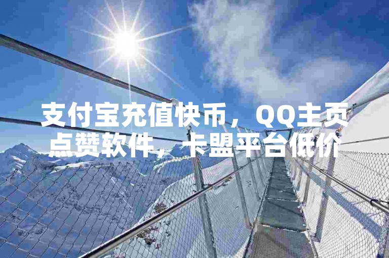 支付宝充值快币，QQ主页点赞软件，卡盟平台低价下单。