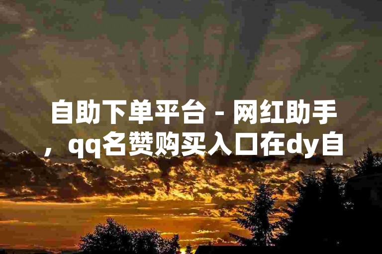 自助下单平台 - 网红助手，qq名赞购买入口在dy自助商城。