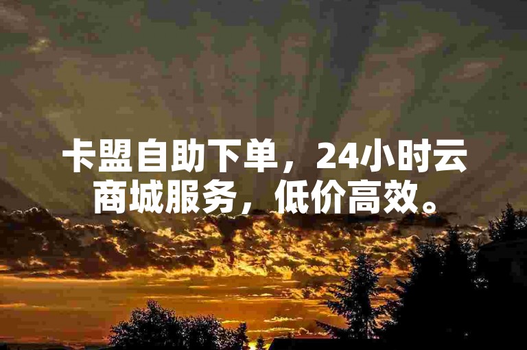 卡盟自助下单，24小时云商城服务，低价高效。