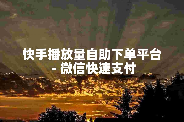 快手播放量自助下单平台 - 微信快速支付