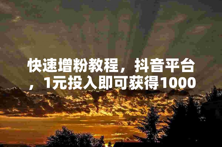 快速增粉教程，抖音平台，1元投入即可获得1000粉丝。