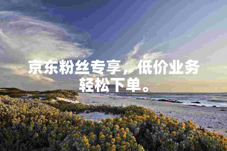 京东粉丝专享，低价业务轻松下单。