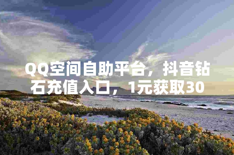 QQ空间自助平台，抖音钻石充值入口，1元获取3000粉丝。