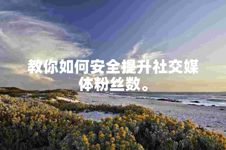 教你如何安全提升社交媒体粉丝数。