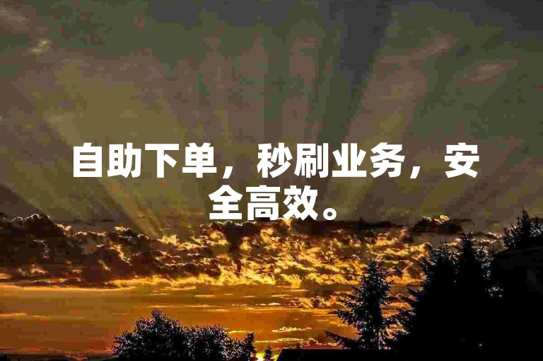 自助下单，秒刷业务，安全高效。