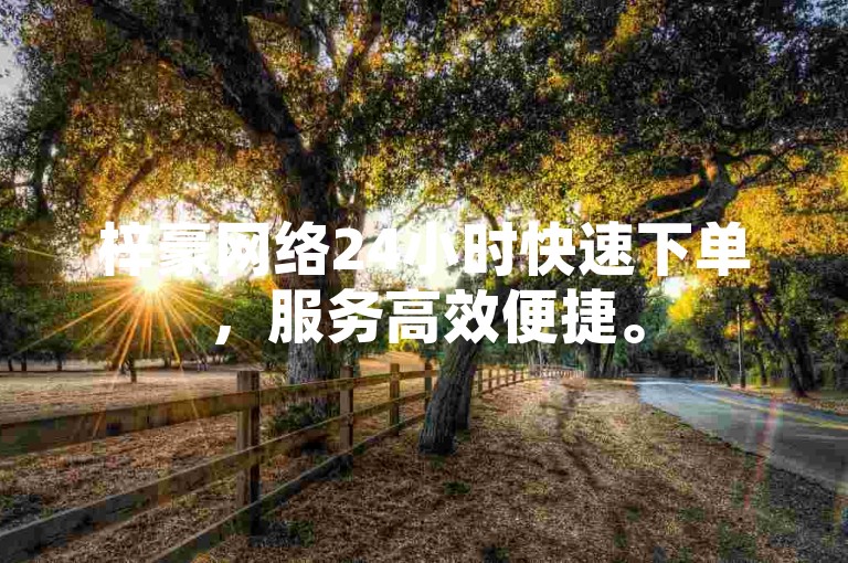 梓豪网络24小时快速下单，服务高效便捷。