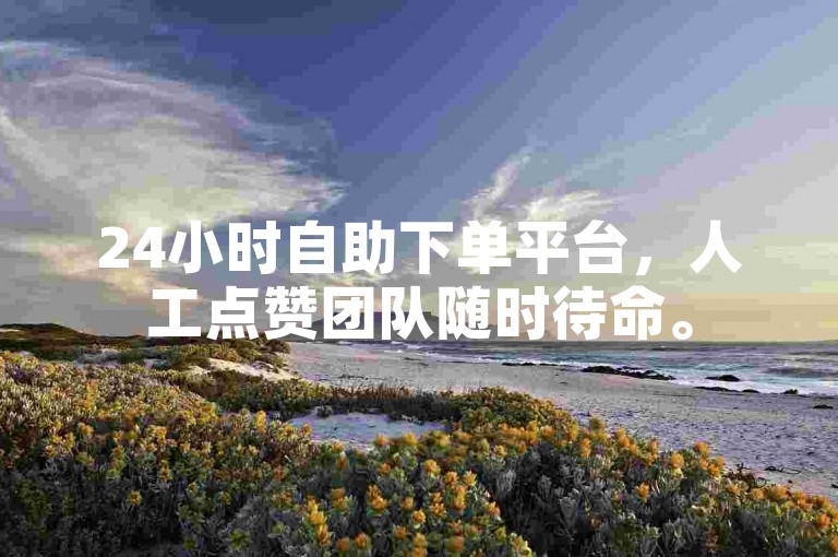 24小时自助下单平台，人工点赞团队随时待命。