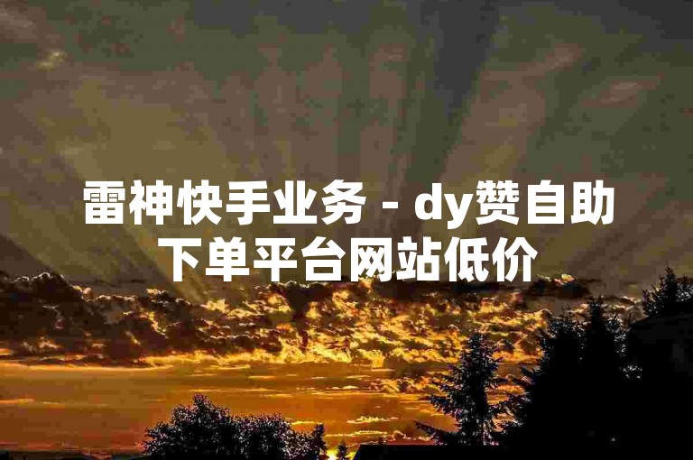 雷神快手业务 - dy赞自助下单平台网站低价