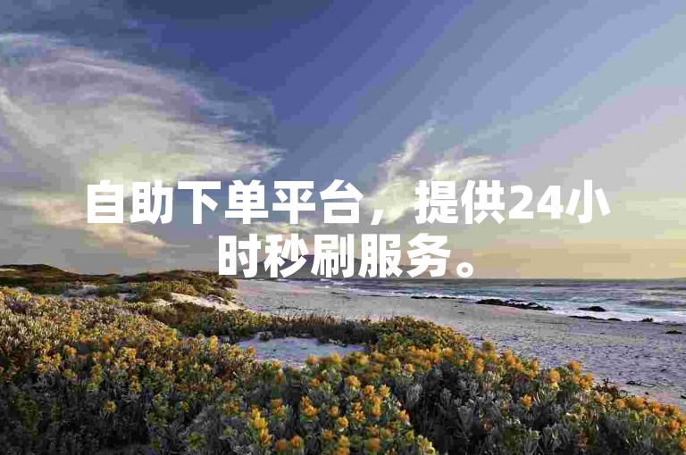 自助下单平台，提供24小时秒刷服务。
