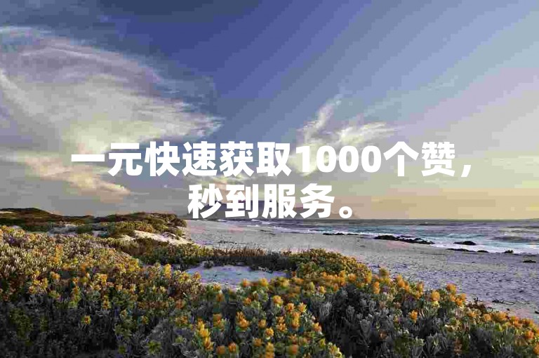 一元快速获取1000个赞，秒到服务。