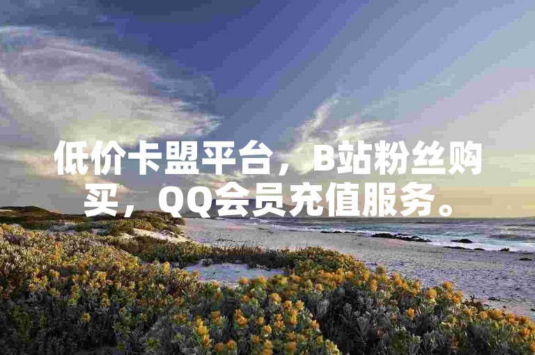 低价卡盟平台，B站粉丝购买，QQ会员充值服务。