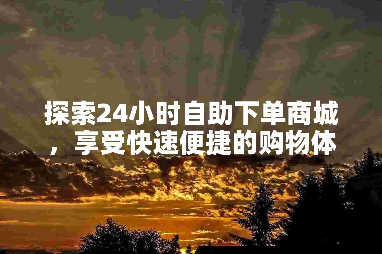 探索24小时自助下单商城，享受快速便捷的购物体验。