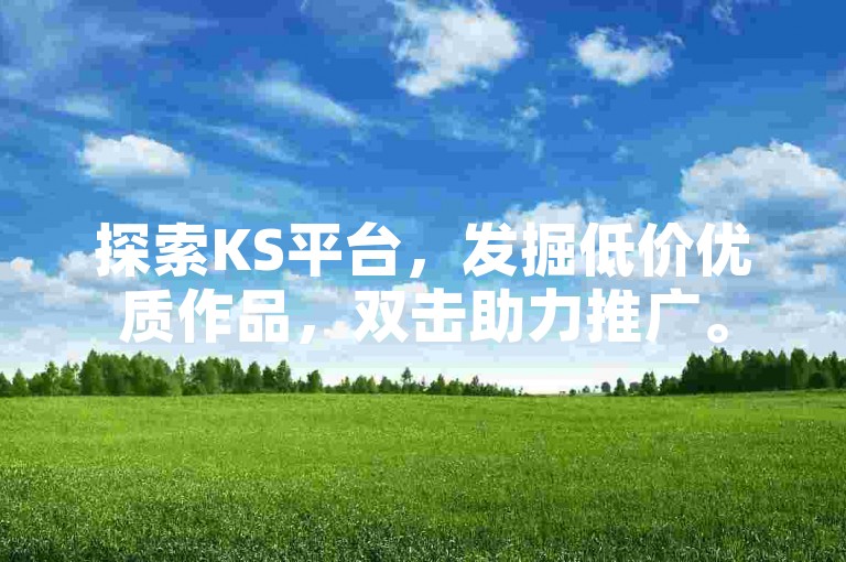 探索KS平台，发掘低价优质作品，双击助力推广。