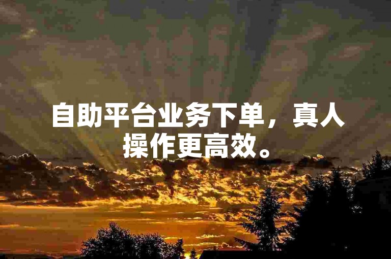 自助平台业务下单，真人操作更高效。