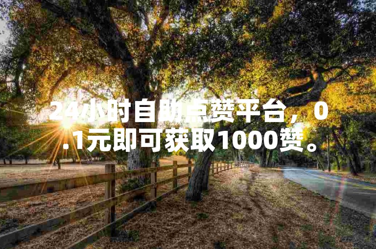 24小时自助点赞平台，0.1元即可获取1000赞。