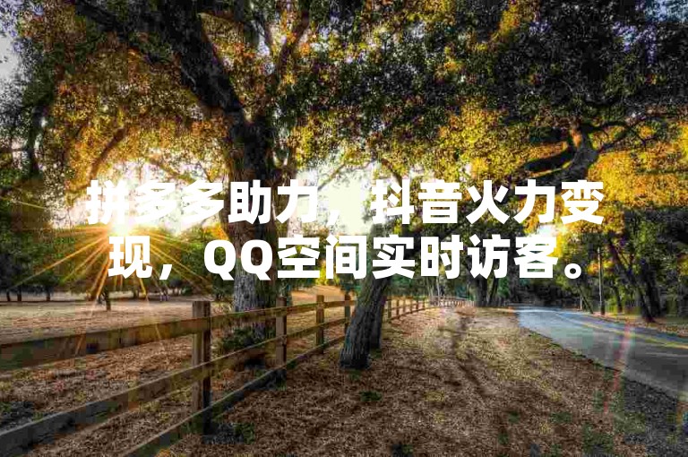 拼多多助力，抖音火力变现，QQ空间实时访客。