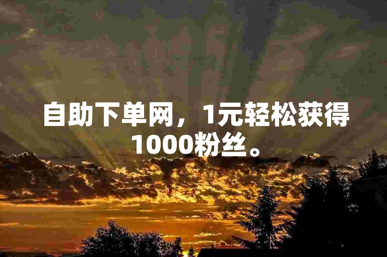 自助下单网，1元轻松获得1000粉丝。