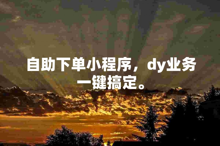 自助下单小程序，dy业务一键搞定。