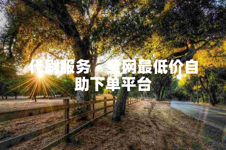 代刷服务 - 全网最低价自助下单平台