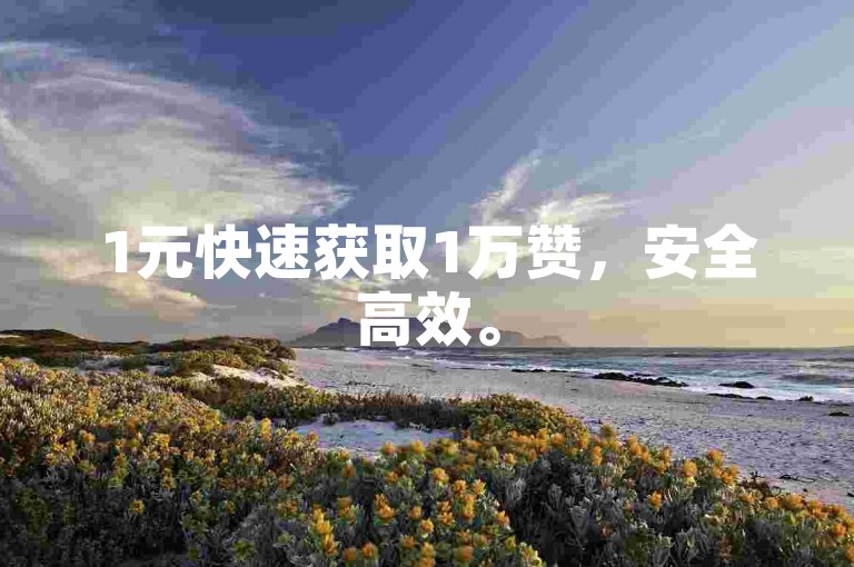 1元快速获取1万赞，安全高效。