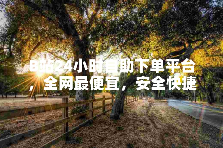 B站24小时自助下单平台，全网最便宜，安全快捷。