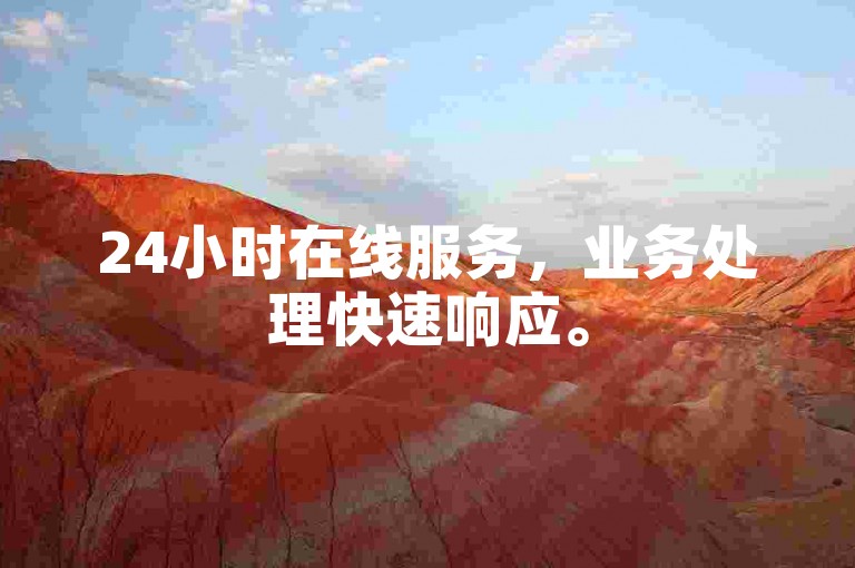 24小时在线服务，业务处理快速响应。