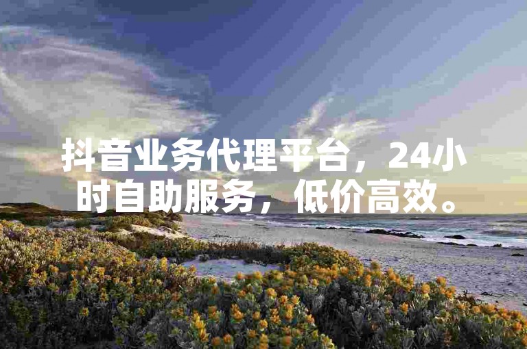 抖音业务代理平台，24小时自助服务，低价高效。