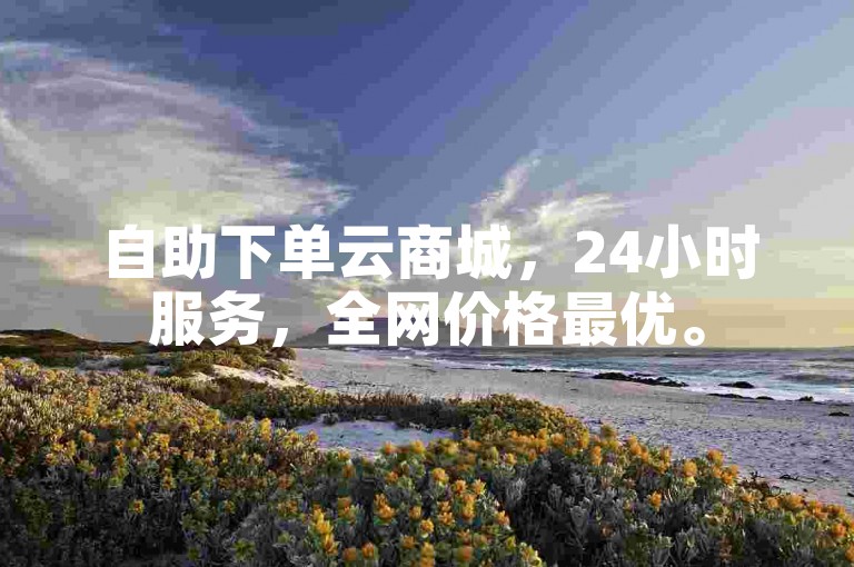 自助下单云商城，24小时服务，全网价格最优。