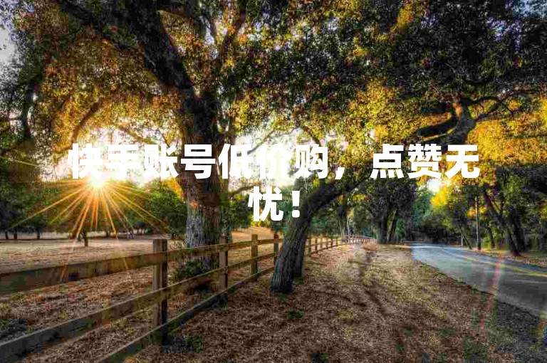 快手账号低价购，点赞无忧！