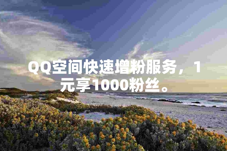 QQ空间快速增粉服务，1元享1000粉丝。