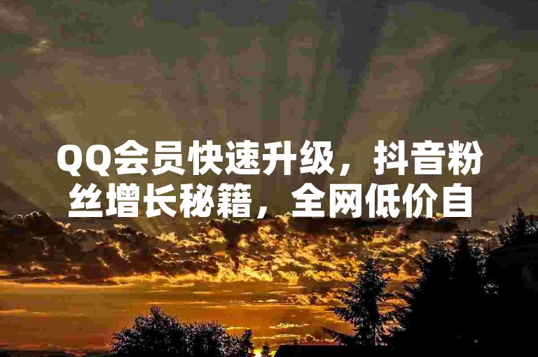 QQ会员快速升级，抖音粉丝增长秘籍，全网低价自助服务。