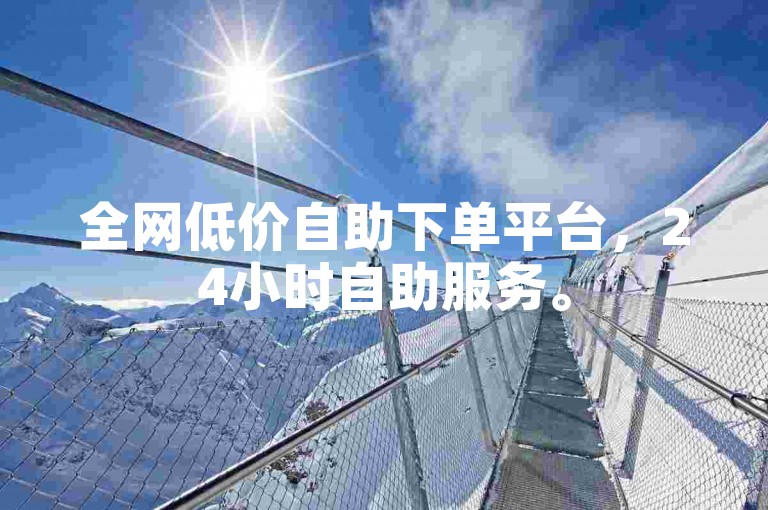 全网低价自助下单平台，24小时自助服务。
