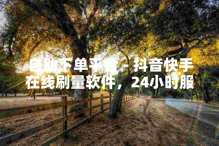 自助下单平台 - 抖音快手在线刷量软件，24小时服务。