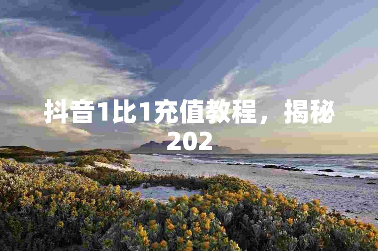 抖音1比1充值教程，揭秘2025年必学的充值通道！
