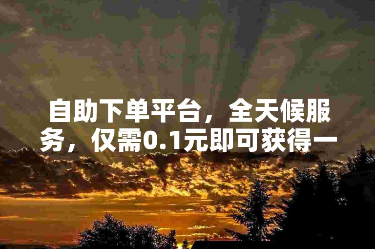 自助下单平台，全天候服务，仅需0.1元即可获得一万赞。