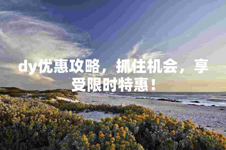 dy优惠攻略，抓住机会，享受限时特惠！