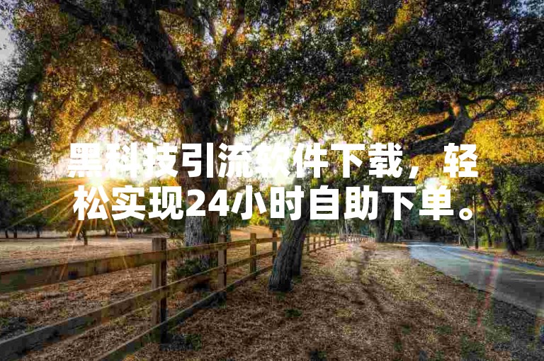 黑科技引流软件下载，轻松实现24小时自助下单。