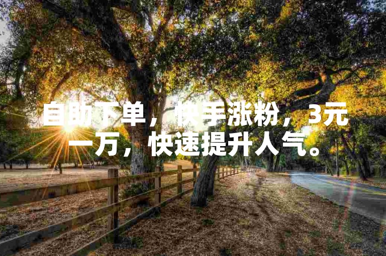 自助下单，快手涨粉，3元一万，快速提升人气。